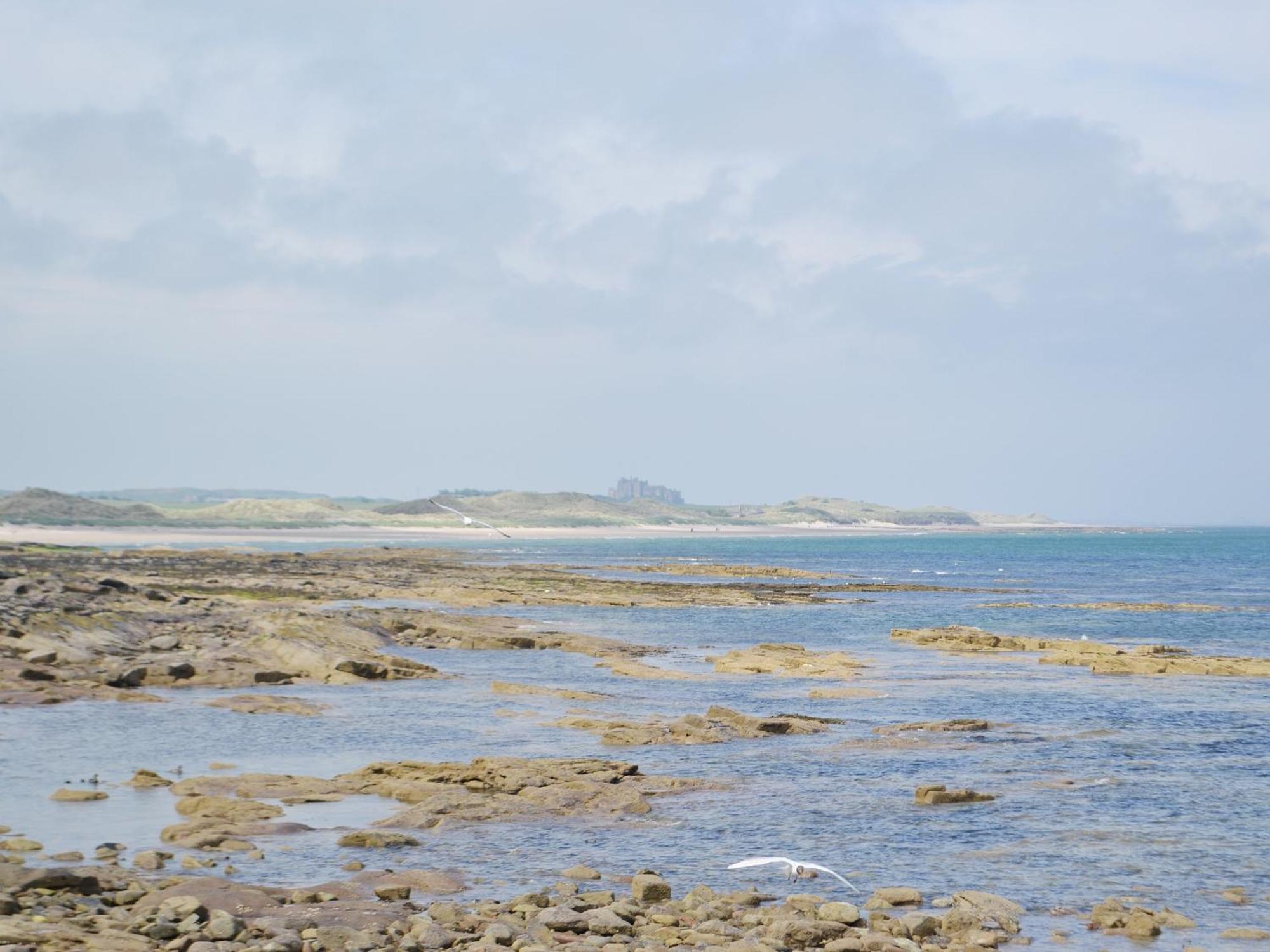 Erskine Cottage Seahouses Exterior foto